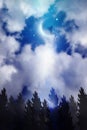 Spiritual release, inner child, dreams,hope, wishes, child catching a bird, faith, destiny, new moon, night sky, nature background