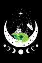 Spiritual sacred frog over magic mushroom in witchcraft crescent moon. Mystical celestial toad with moon phases and stars