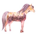 Spiritual sacred horse. Totem animals watercolor illustration Royalty Free Stock Photo