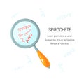 Spirochete research vector