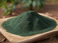 Spirulina (Arthrospira platensis) in the wooden spoon Royalty Free Stock Photo