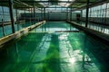 Spirulina Cultivation Tanks in Greenhouse Facility