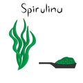 Spirulina. Healthy detox natural product. Organik dietary supplement algae and powder. Superfood for homeopathy. Cartoon vector