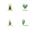 Spirulina icon and symbol vector logo template illustration