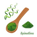 Spirulina powder in spoon. Dietary supplement.