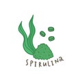 Spirulina powder superfood.