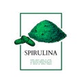 Spirulina seaweed powder hand drawn vector illustration. Isolated powder and pills drawing on white background. Royalty Free Stock Photo