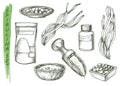 Spirulina seaweed sketch icons for dietary supplement