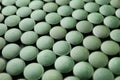 Spirulina tablets, closeup