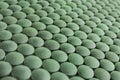 Spirulina tablets, closeup