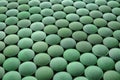 Spirulina tablets, closeup