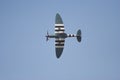 Spitfire in flight Royalty Free Stock Photo