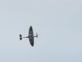 Spitfire Mk X1X PS915 The Last One Produced Flying over Dunsfold Royalty Free Stock Photo
