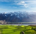 Spiti Valley gardening