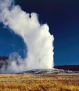 Old Faithful Geyser, erupting, Yellowstone National Park Royalty Free Stock Photo