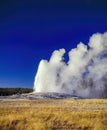 Old Faithful Geyser, erupting, Yellowstone National Park Royalty Free Stock Photo