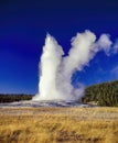 Old Faithful Geyser, erupting, Yellowstone National Park Royalty Free Stock Photo