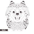 Spitz. Coloring book for adult