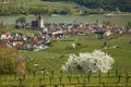 Spitz an der Donau, Wachau, Niederosterreich, Austria, UNESCO Royalty Free Stock Photo