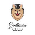 Spitz gentleman. Dog wearing in top hat. Vector illustration. Royalty Free Stock Photo