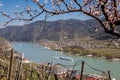 Spitz village with ship on Danube river in Wachau valley during spring time, Austria