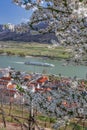Spitz village with ship on Danube river in Wachau valley during spring time, Austria