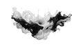 A splash of black and white fluid. Vector illustration.