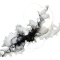 A splash of black and white fluid. Vector illustration.