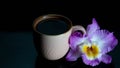 Splash of coffee and milk in white cup isolated on black background movement action delicious, natural, white, tasty Royalty Free Stock Photo