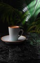 Splash of coffee and milk in white cup isolated on black background movement action delicious, natural, white, tasty, morning, hot Royalty Free Stock Photo