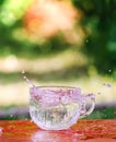 Splash of cool fresh water with ice cube in transparent glass cup in the table outoors in summer day.