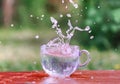 Splash of cool fresh water with ice cube in transparent glass cup in the table outoors in summer day. Royalty Free Stock Photo