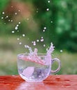 Splash of cool fresh water with ice cube in transparent glass cup in the table outoors in summer day. Royalty Free Stock Photo