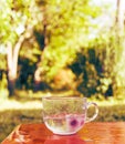 Splash of cool fresh water with ice cube in transparent glass cup in the table outoors in summer day. Royalty Free Stock Photo