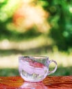 Splash of cool fresh water with ice cube in transparent glass cup in the table outoors in summer day. Royalty Free Stock Photo