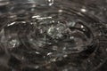 Splash formation from drops of water falling on a liquid surface scenes without people