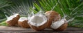 The Splash of Fresh Coconuts on a Wooden Surface Surrounded by Tropical Leaves.AI generated image Royalty Free Stock Photo