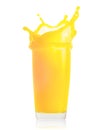 Splash of fresh orange juice in transparent glass isolated on white background Royalty Free Stock Photo