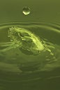 Splash of green water drops Royalty Free Stock Photo