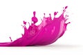 Splash magenta paint on white background