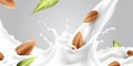 Splash milk almond. Milkshake with nuts and seeds, realistic almonds, protein drink, healthy breakfast, vegan beverage