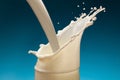 Splash of milk from the glass Royalty Free Stock Photo