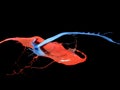 Splash red and blue paint Royalty Free Stock Photo