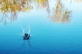 Splash on the river, ripples on the water and reflecting trees on the edges