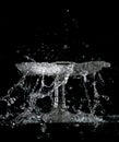 Splash and spatter of water in a crystal vase on a black background Royalty Free Stock Photo