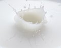 Splash and splashes from falling milk like a crown Royalty Free Stock Photo