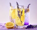 Splash of three glasses lavender lemonade with lemon on purple background Royalty Free Stock Photo