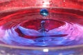 Splash water crown and drops red and blue Royalty Free Stock Photo