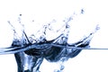 Splash of water frozen in time Royalty Free Stock Photo