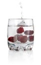 Splash water in glass with blackberry